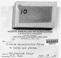 Image Associated With the Occurence